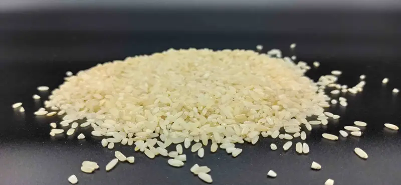 A1 Usna Rice 1 kg - Old Usna Rice
