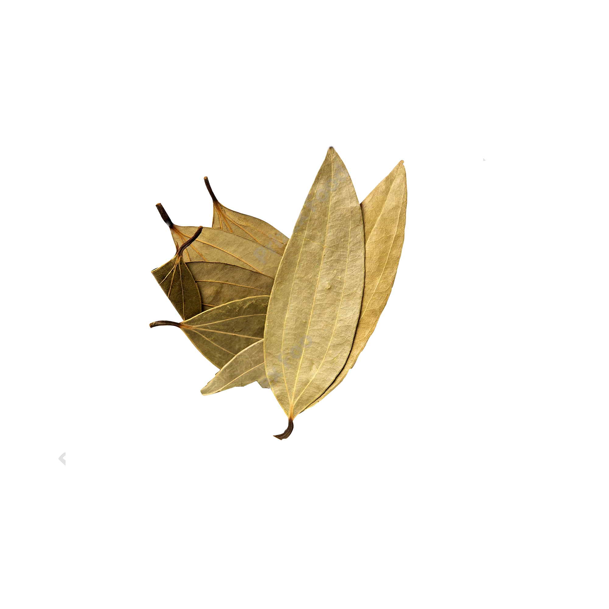 G. Bay Leaf 25 g