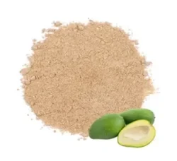 G. Amchur Powder 100 g