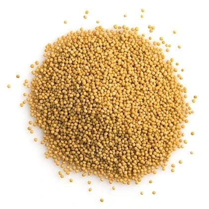 G. Yellow / Pili Sarso Mustard Seeds 100 g